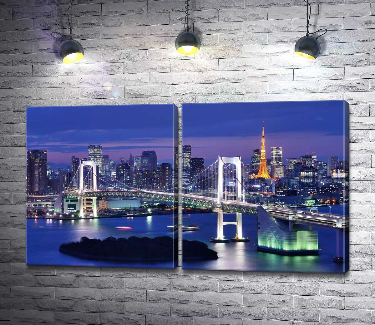 модульна картина Світло веселкового мосту в Токіо