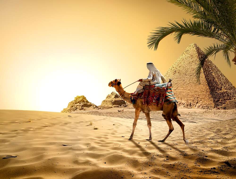 картина-постер Бедуїн верхи на верблюді проїжджає повз єгипетські пірамід