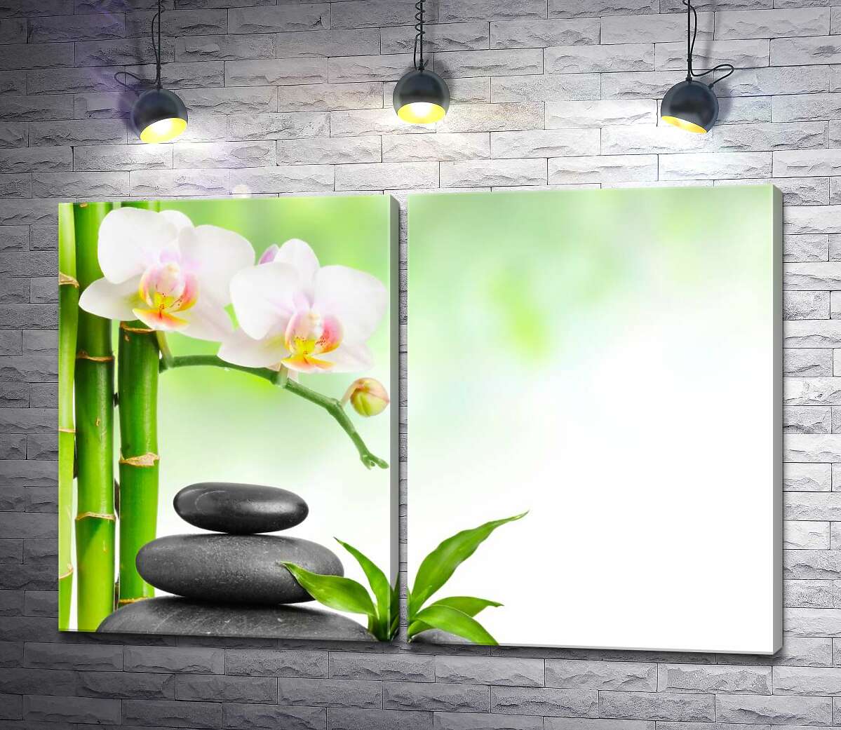 модульная картина Изящные цветы орхидеи свисают над черными камнями у светло-зеленых стволов бамбука