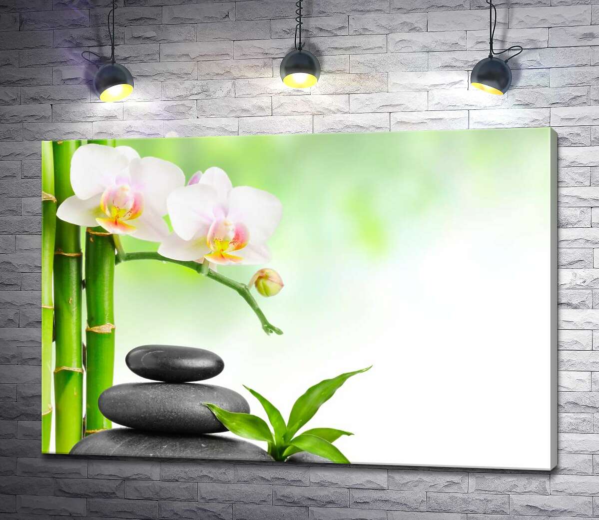 картина Изящные цветы орхидеи свисают над черными камнями у светло-зеленых стволов бамбука