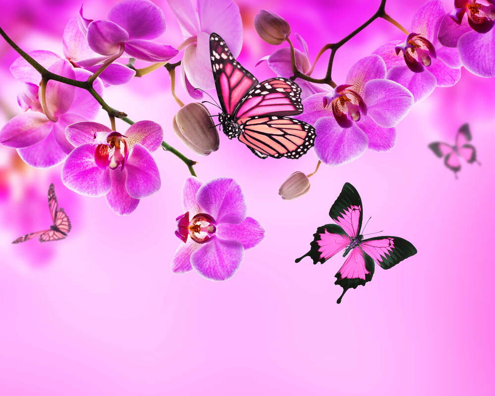 картина-постер Польоти метеликів серед неоново-рожевих гілок орхідей