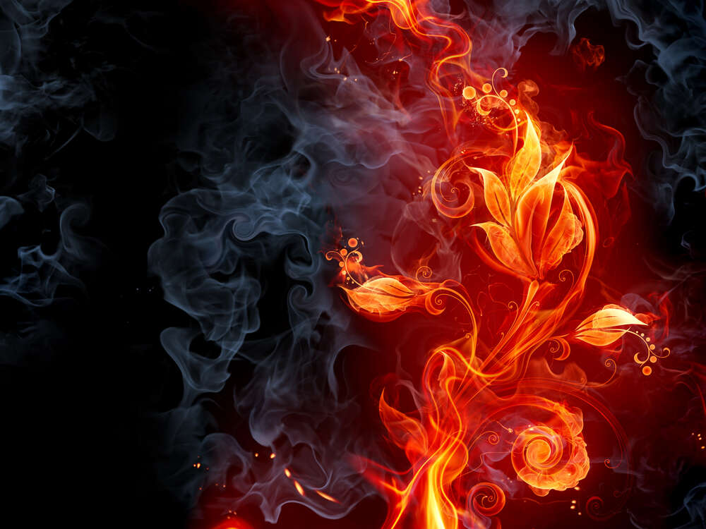 картина-постер Вогняна квітка в димовій завісі