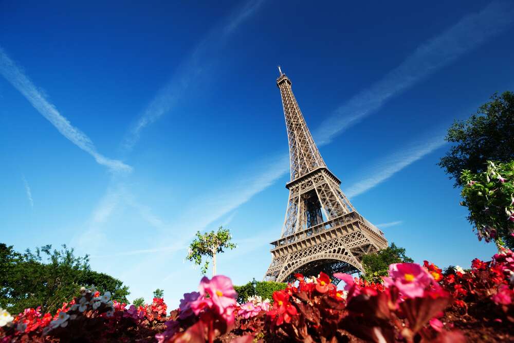 картина-постер Эйфелева башня возвышается над цветником с бегониями