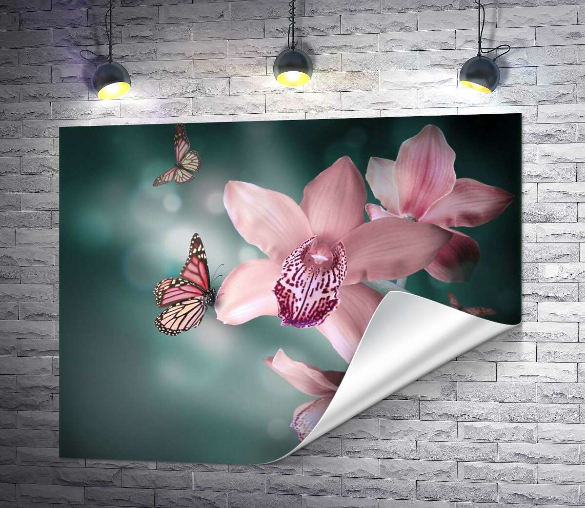 друк Кольорові метелики парять серед гостролистих орхідей