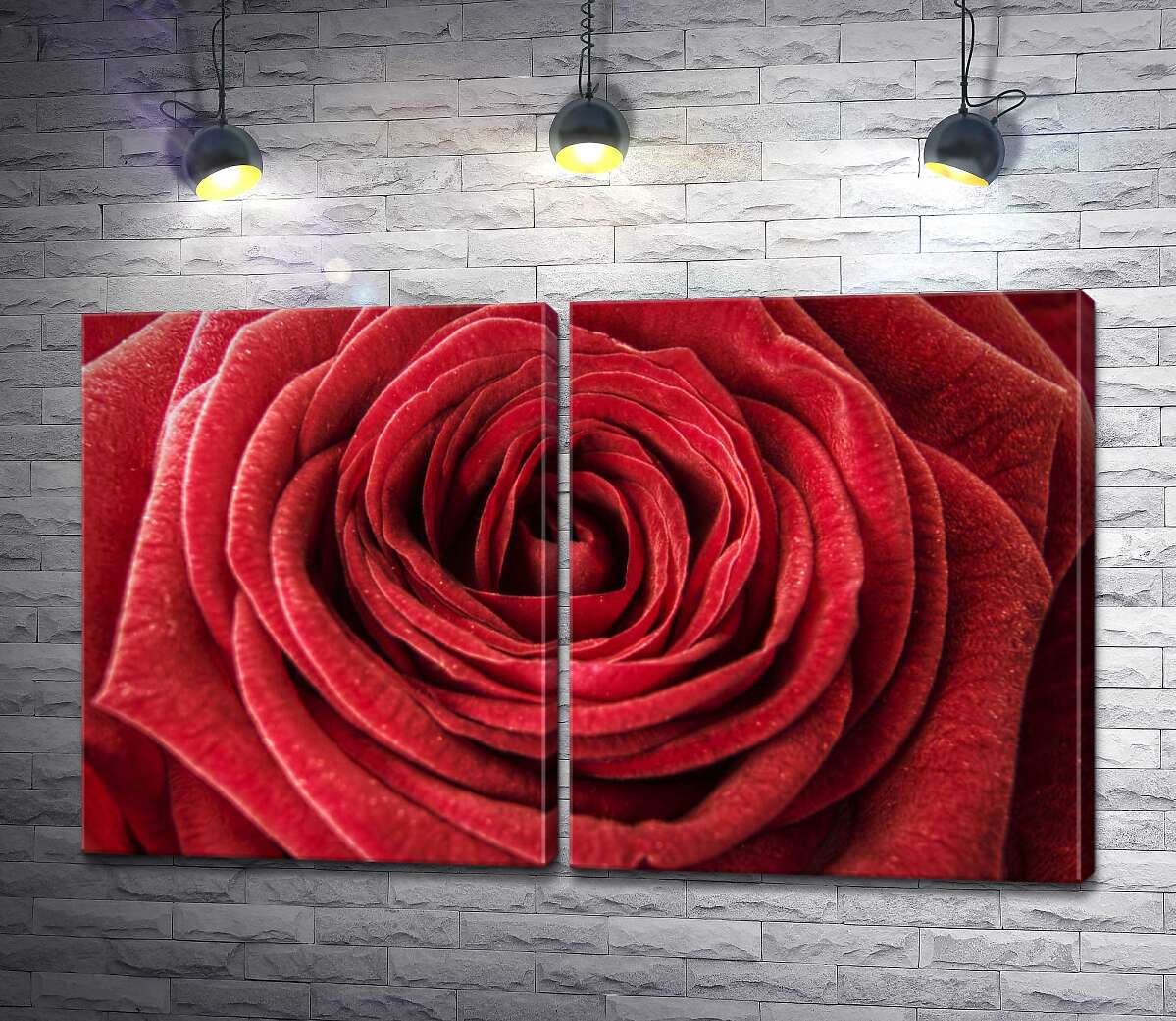 модульная картина Роскошь шелковистых лепестков красной розы