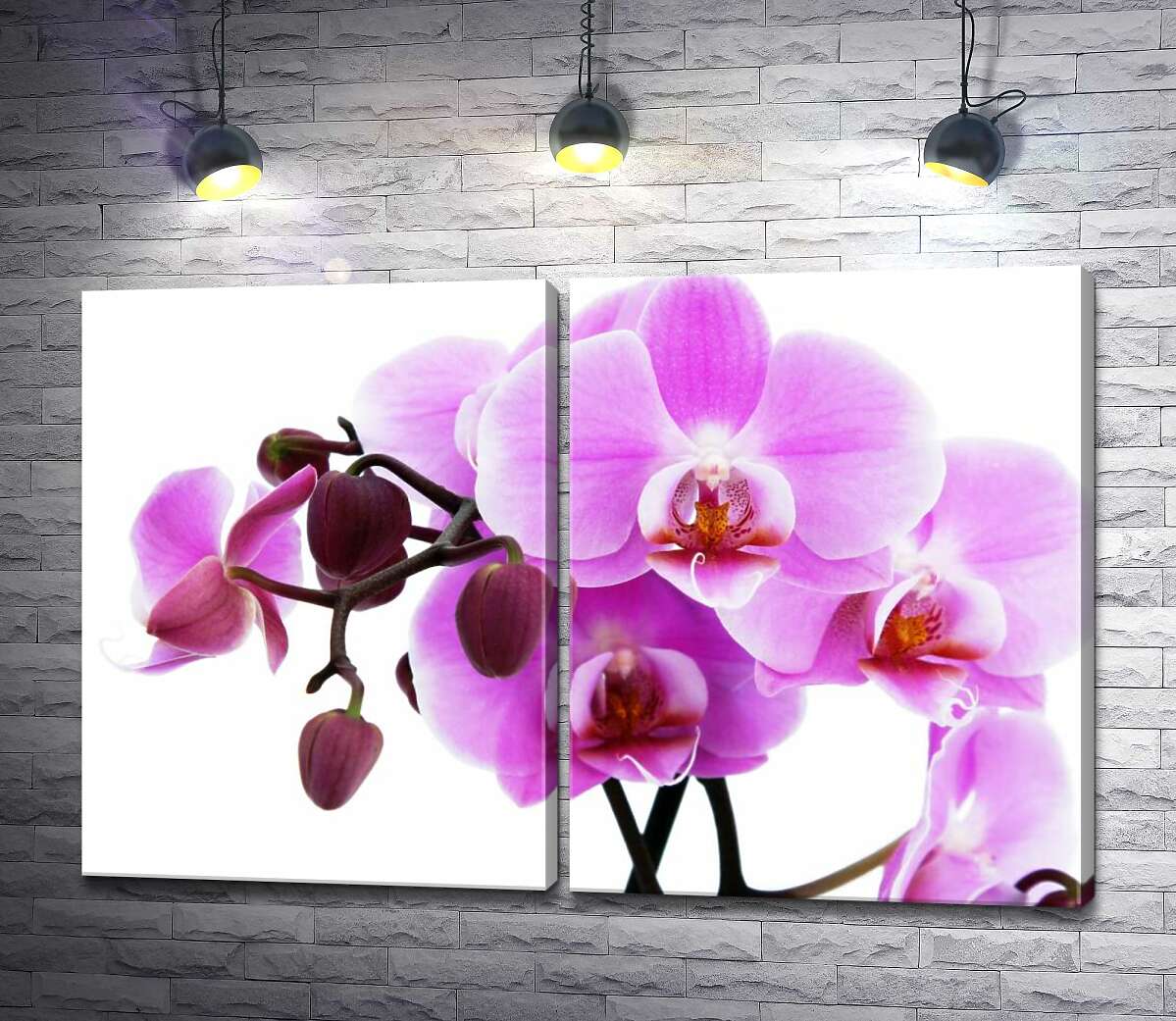 модульная картина Величественные цветы пурпурной орхидеи