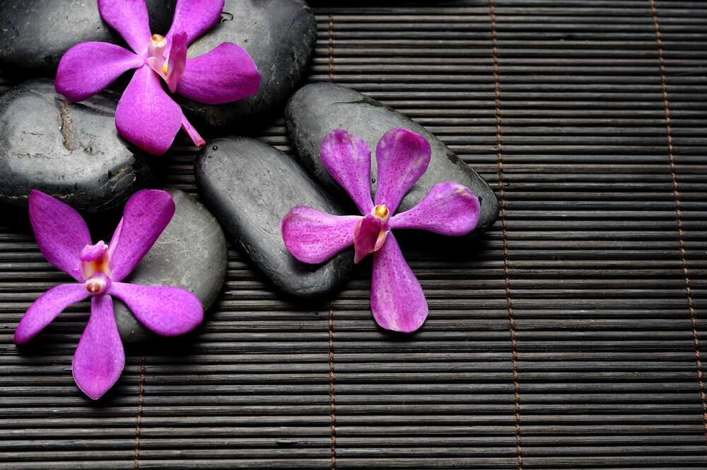 картина-постер Яркие цветы орхидей на черных камнях и бамбуковом ковре