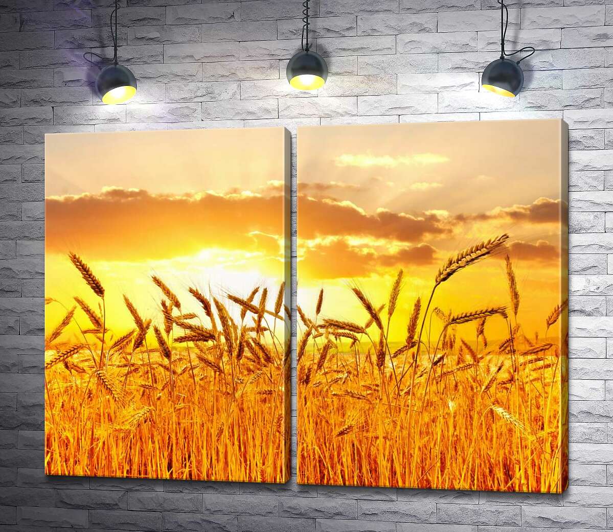 модульная картина Налитые колосья пшеницы в белых солнечных лучах