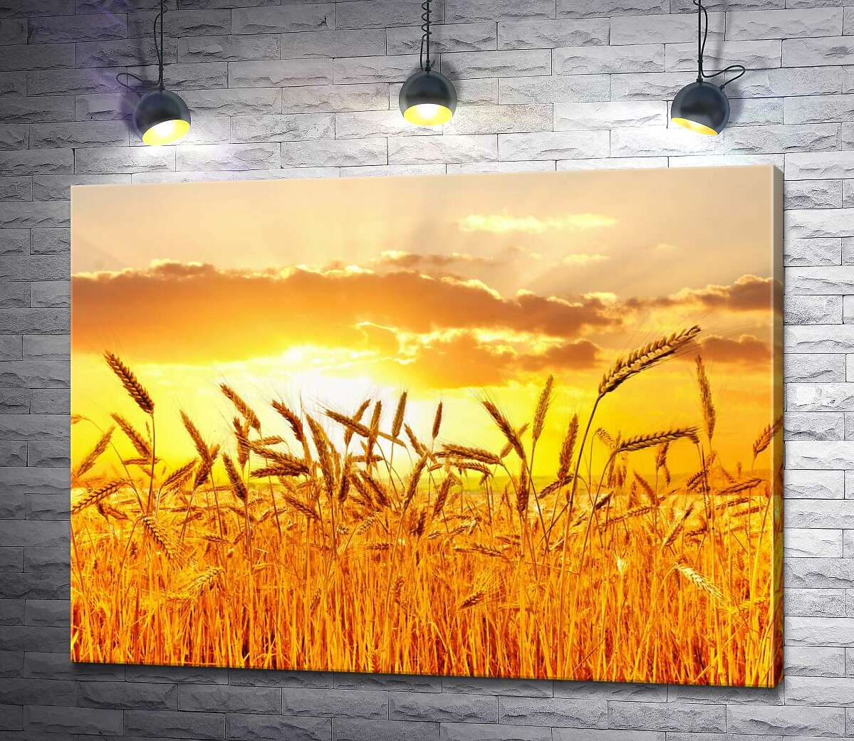 картина Налиті колоски пшениці в білих сонячних променях