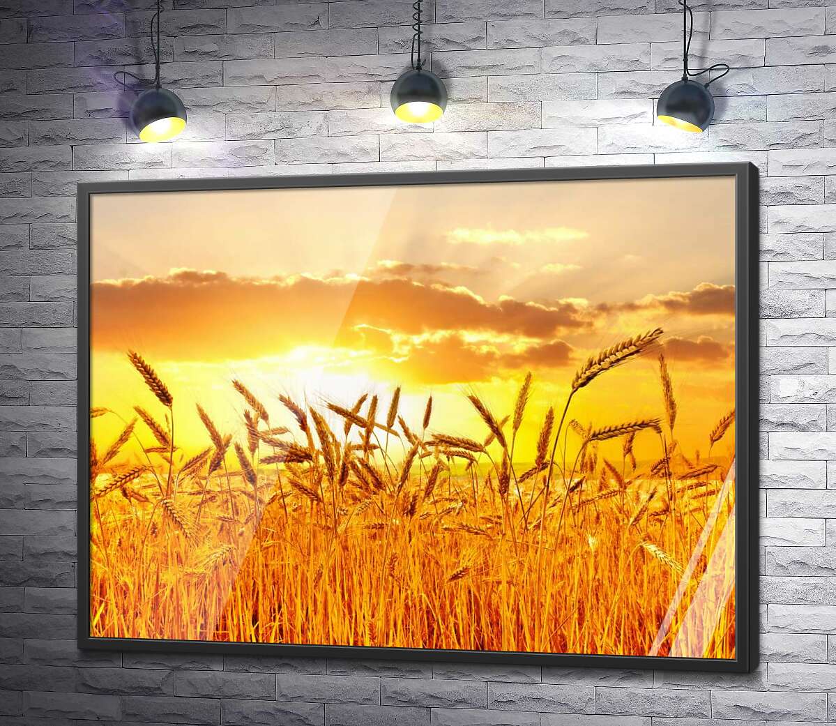 постер Налиті колоски пшениці в білих сонячних променях