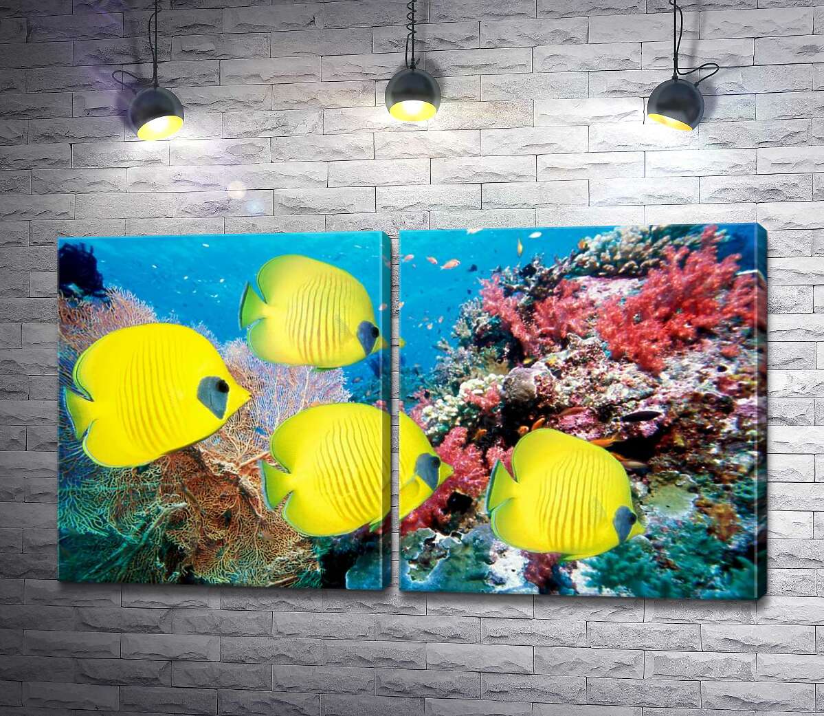 модульная картина Желтые рыбы-бабочки плавают среди рифа