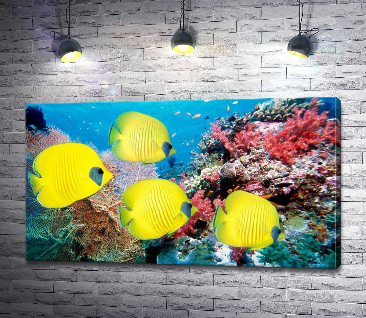 картина Желтые рыбы-бабочки плавают среди рифа