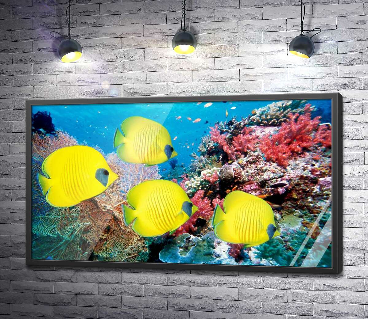постер Желтые рыбы-бабочки плавают среди рифа