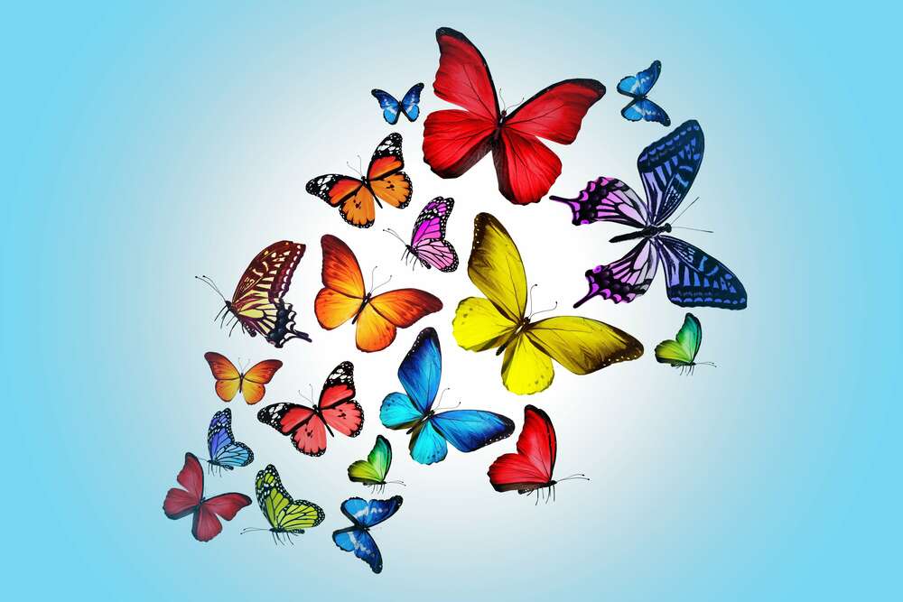 картина-постер Радужная стая бабочек