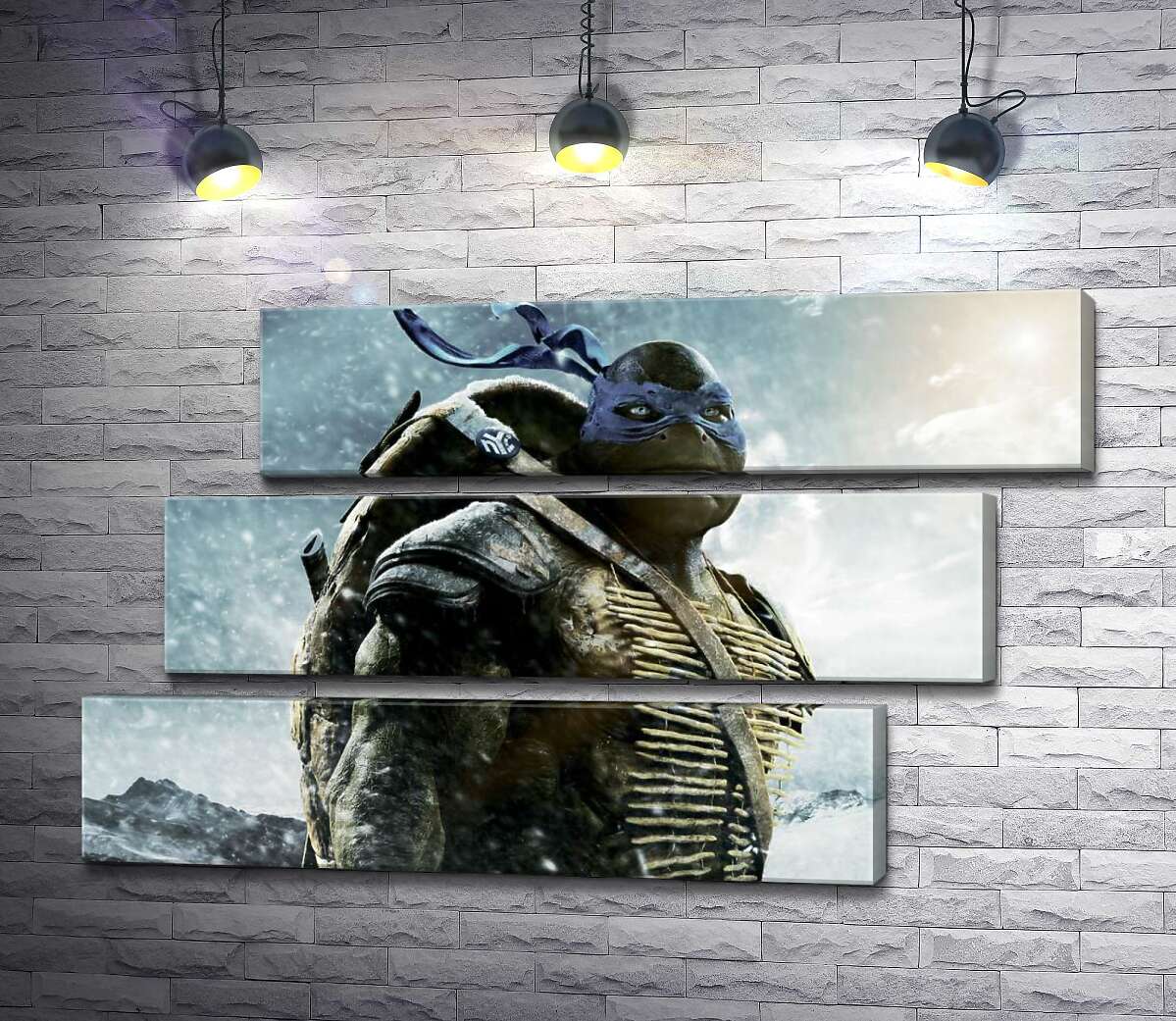 модульна картина Сміливий лідер Черепашок-ніндзя (Teenage Mutant Ninja Turtles), Леонардо, серед засніжених гір (Модуль №17)