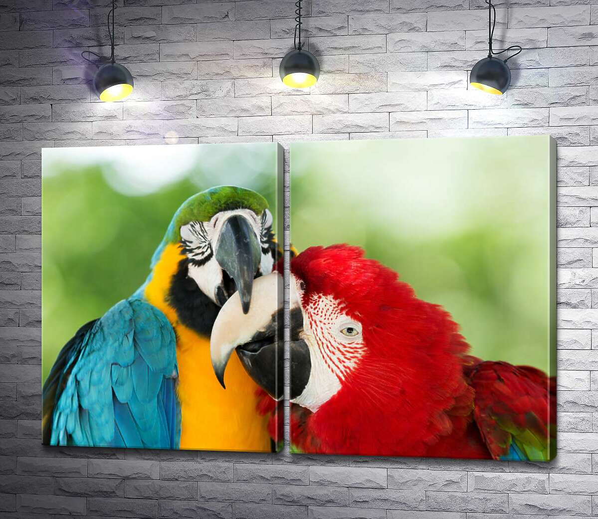 модульная картина Радужная парочка попугаев