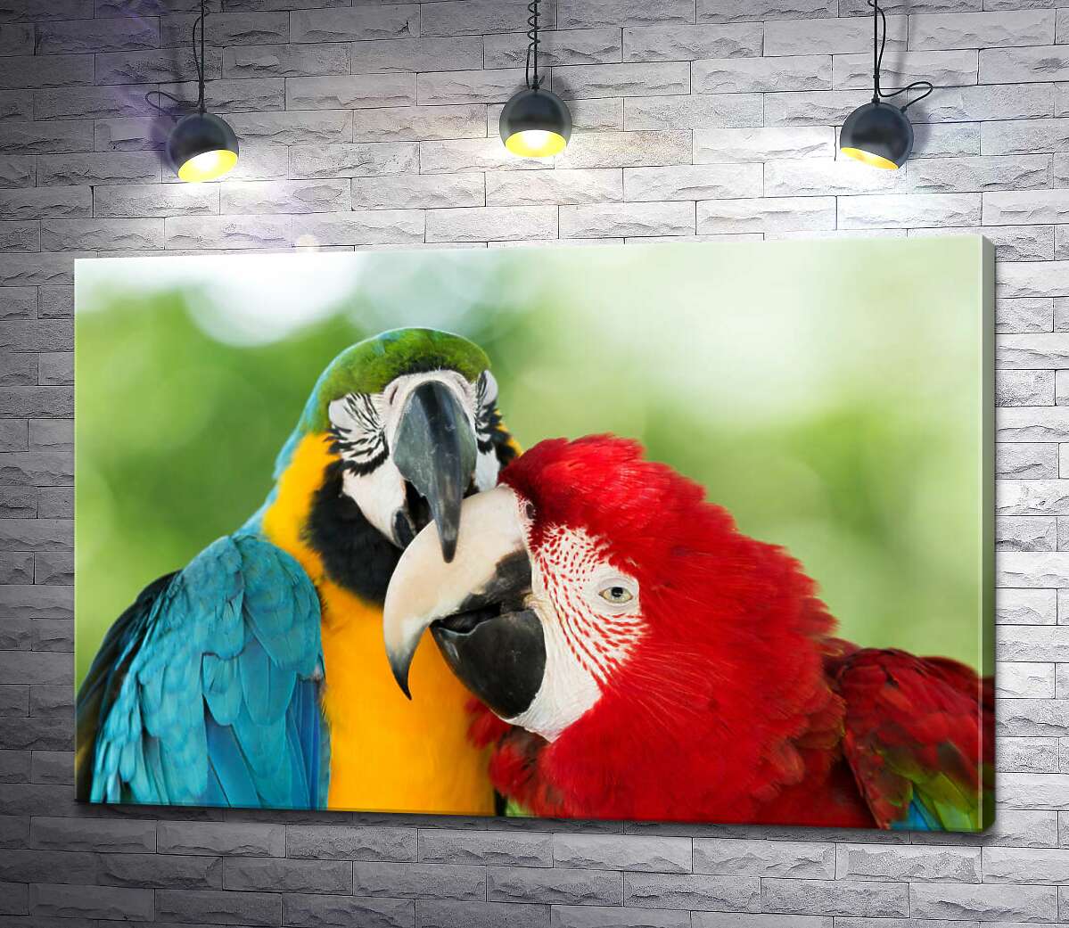картина Радужная парочка попугаев