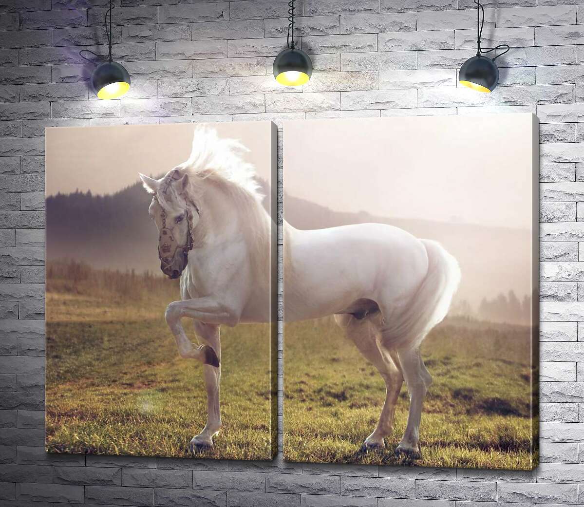 модульная картина Белый красавец конь среди зеленого поля