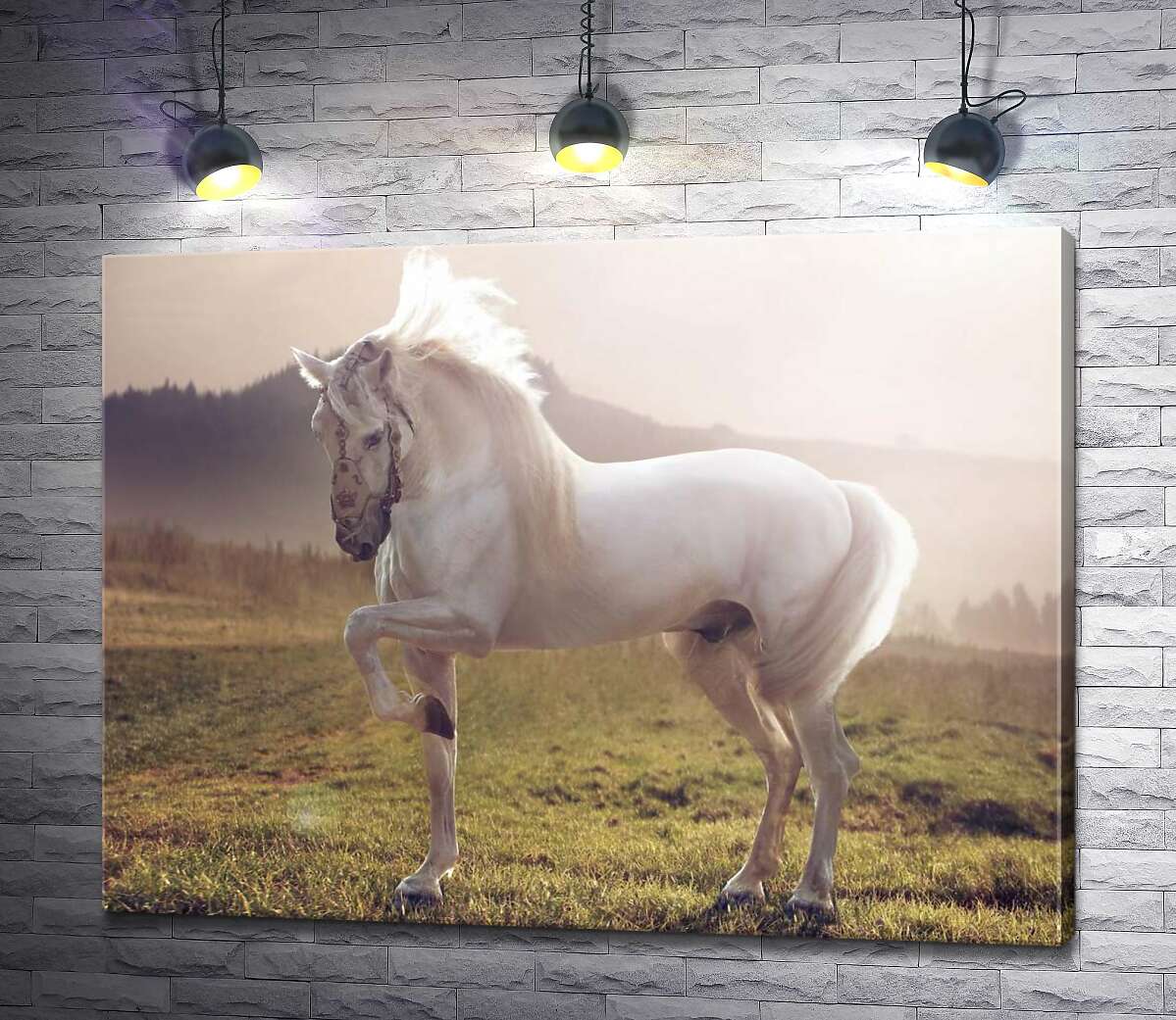 картина Білий красень кінь серед зеленого поля