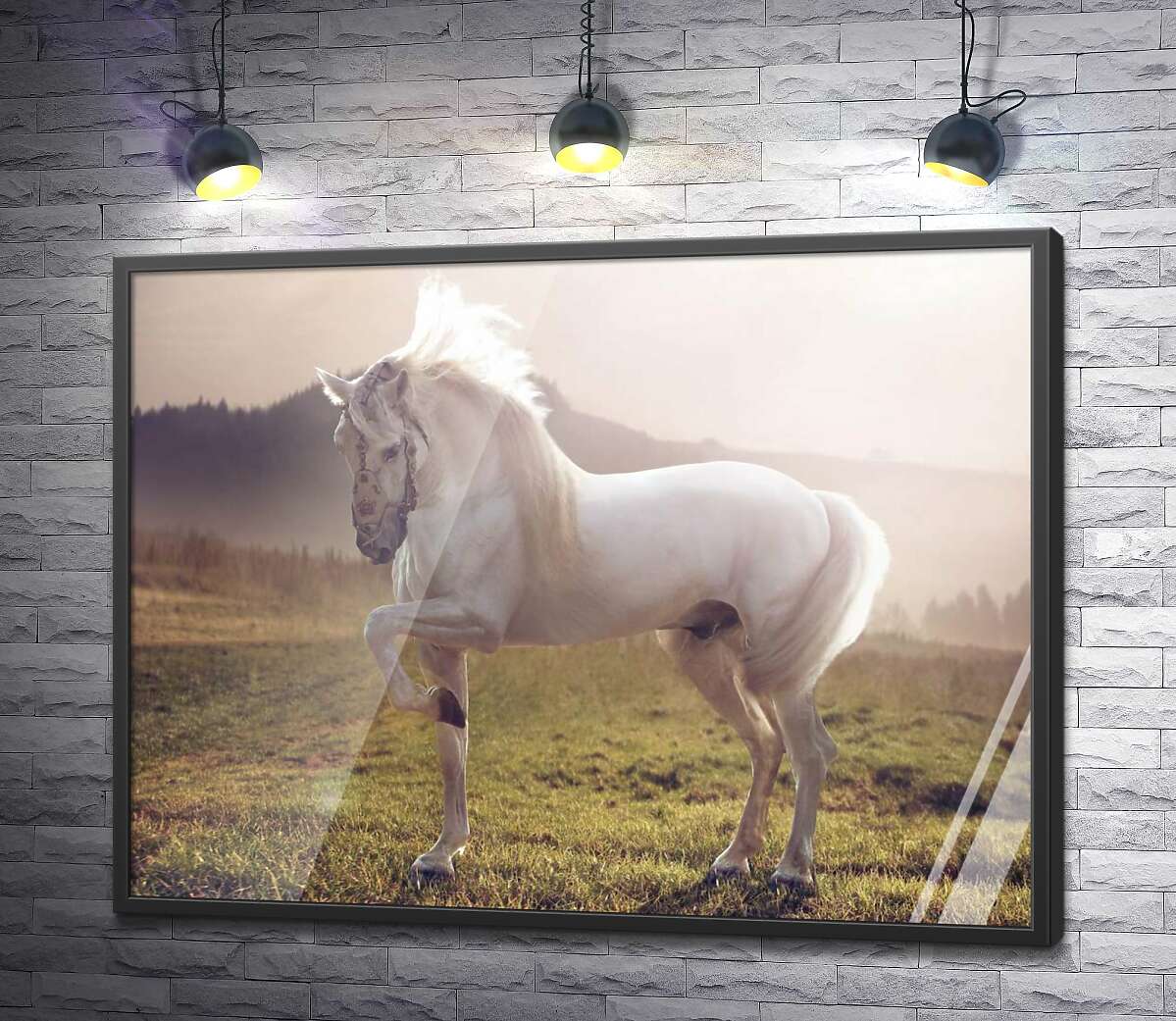 постер Белый красавец конь среди зеленого поля