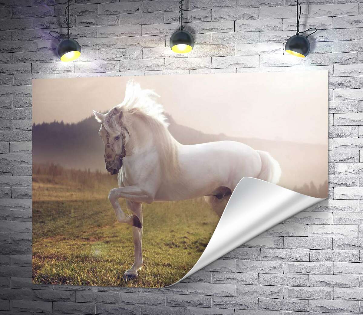 друк Білий красень кінь серед зеленого поля