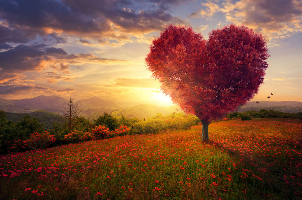 картина-постер Солнечные лучи освещают багровое дерево любви