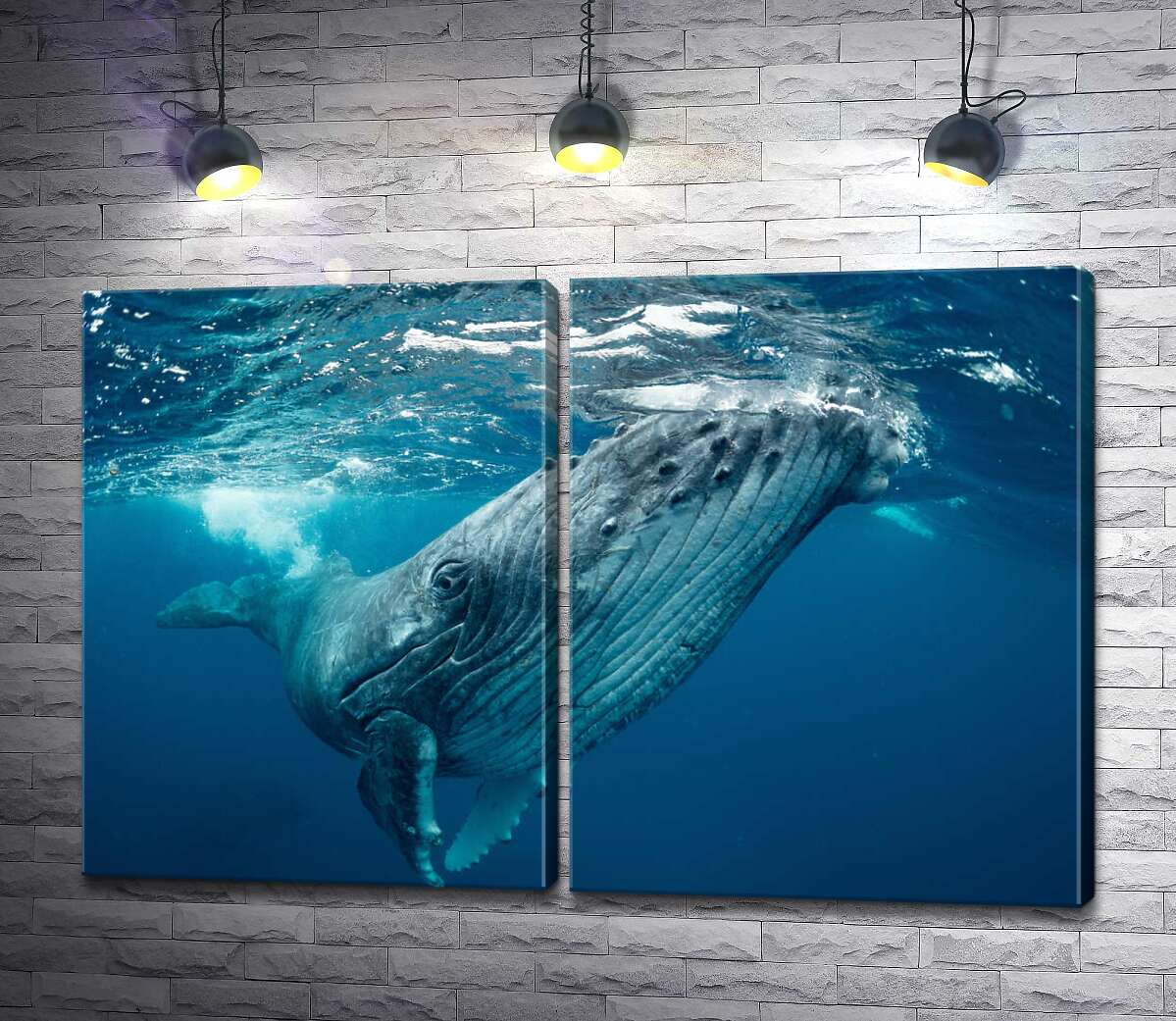 модульная картина Могучие очертания кита в океане