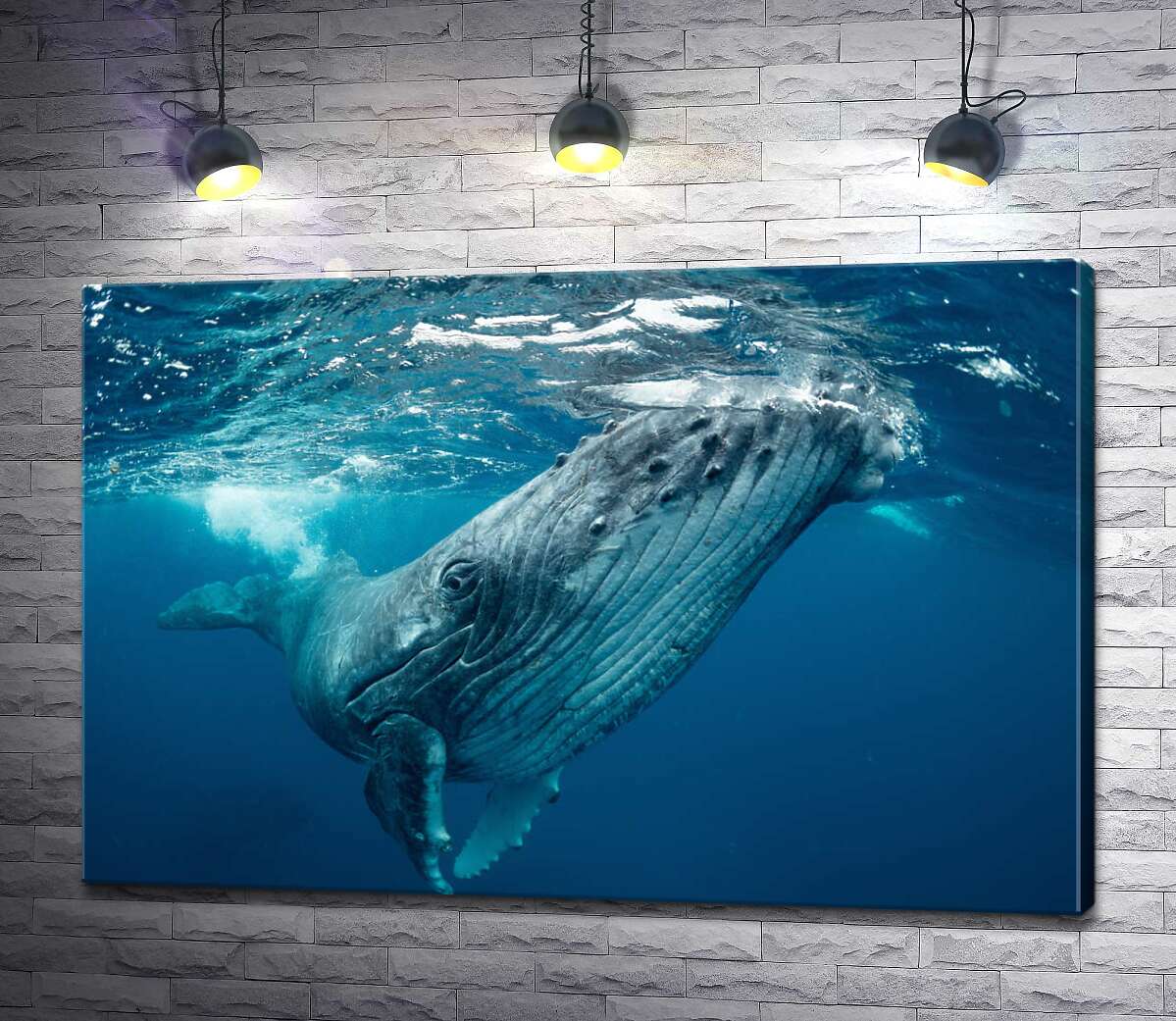 картина Могучие очертания кита в океане
