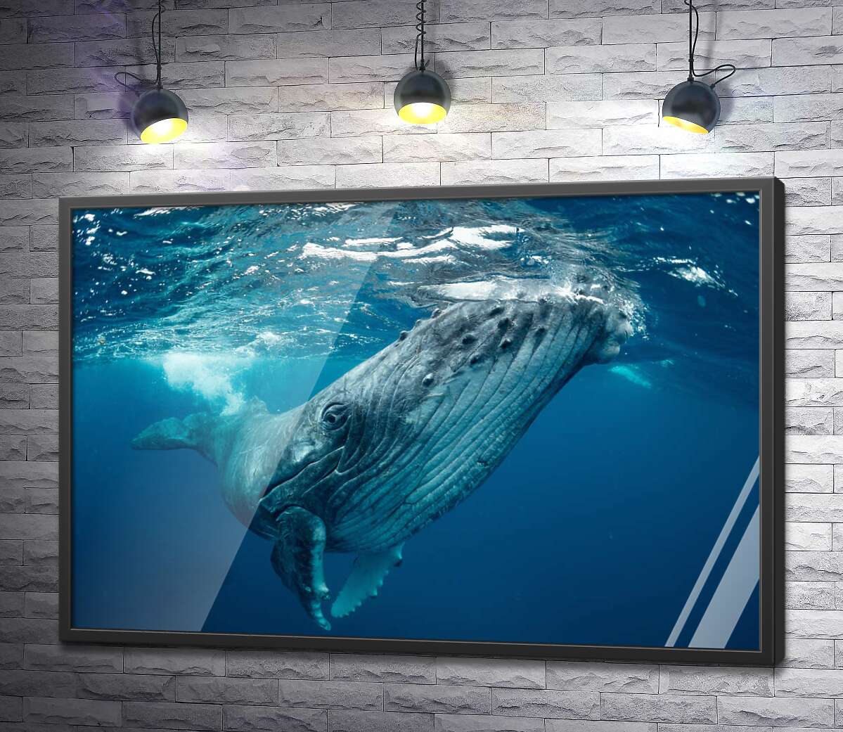 постер Могутні обриси кита в океані