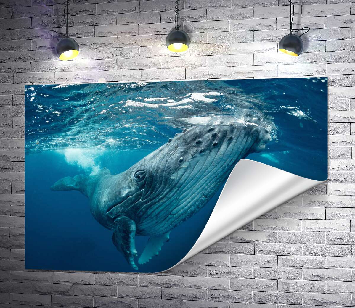 печать Могучие очертания кита в океане