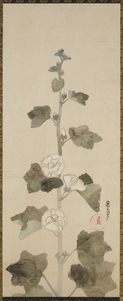 картина-постер Белые мальвы (White hollyhocks) – Огата Корин (Ogata Korin)