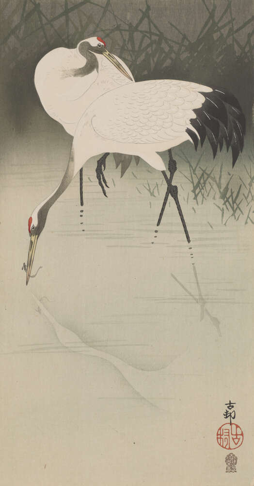 картина-постер Пара журавлей в камышах (Pair of cranes in reeds) – Охара Косон (Ohara Koson)