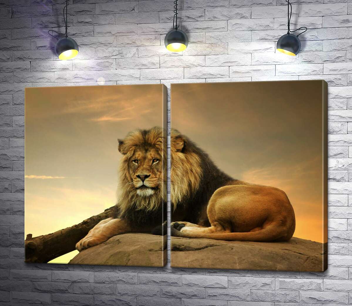 модульна картина Цар звірів: рудий лев лежить на камені