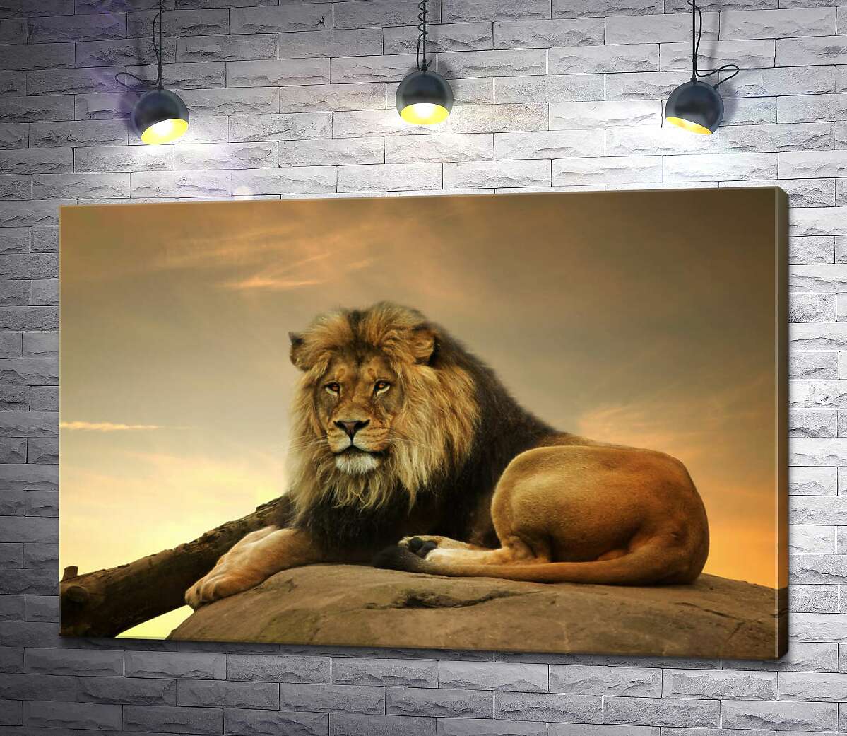 картина Царь зверей: рыжий лев лежит на камне