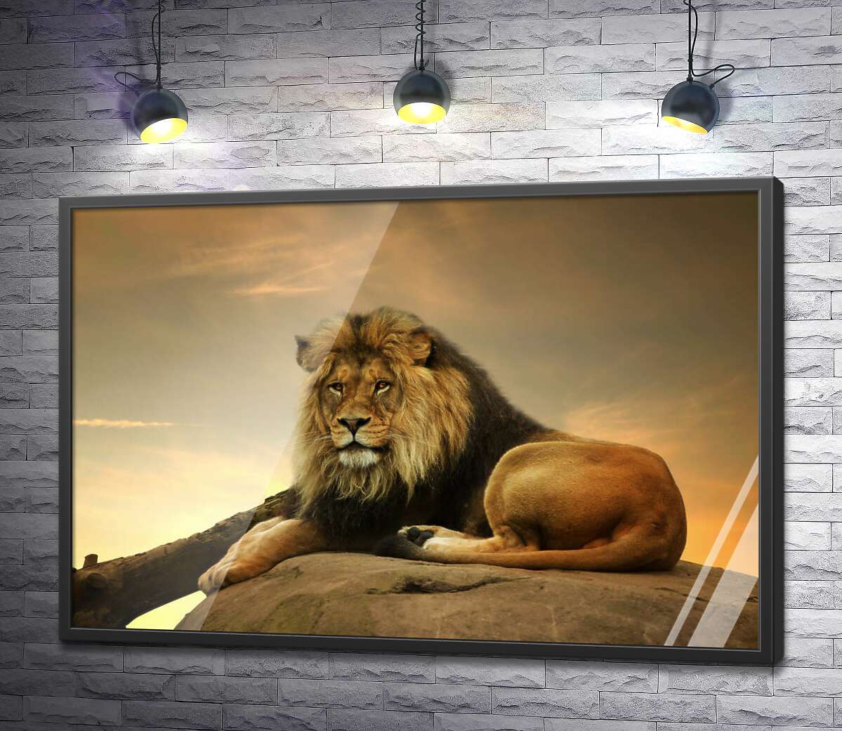 постер Царь зверей: рыжий лев лежит на камне