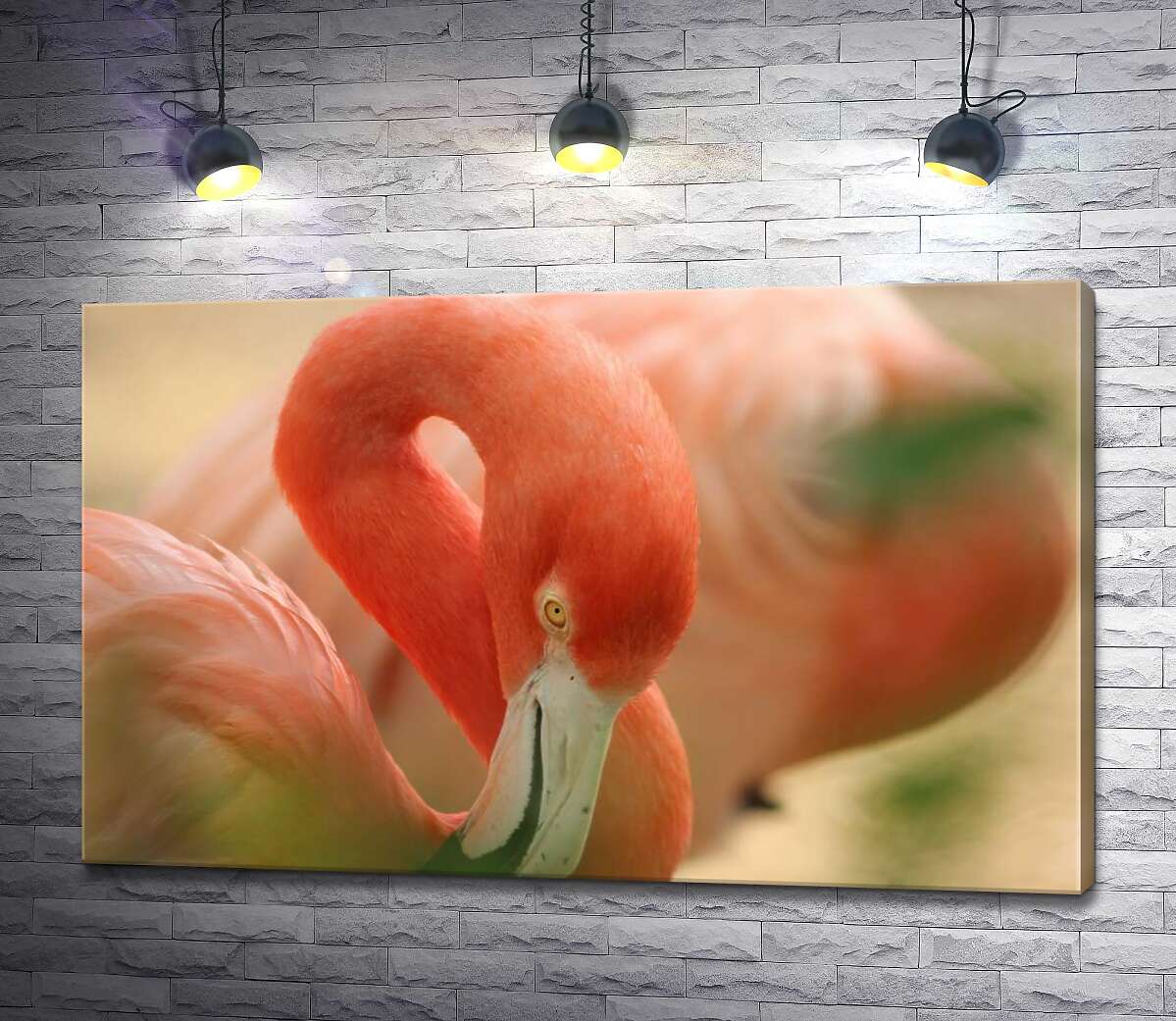 картина Нежно-розовое оперение на изгибах шеи фламинго
