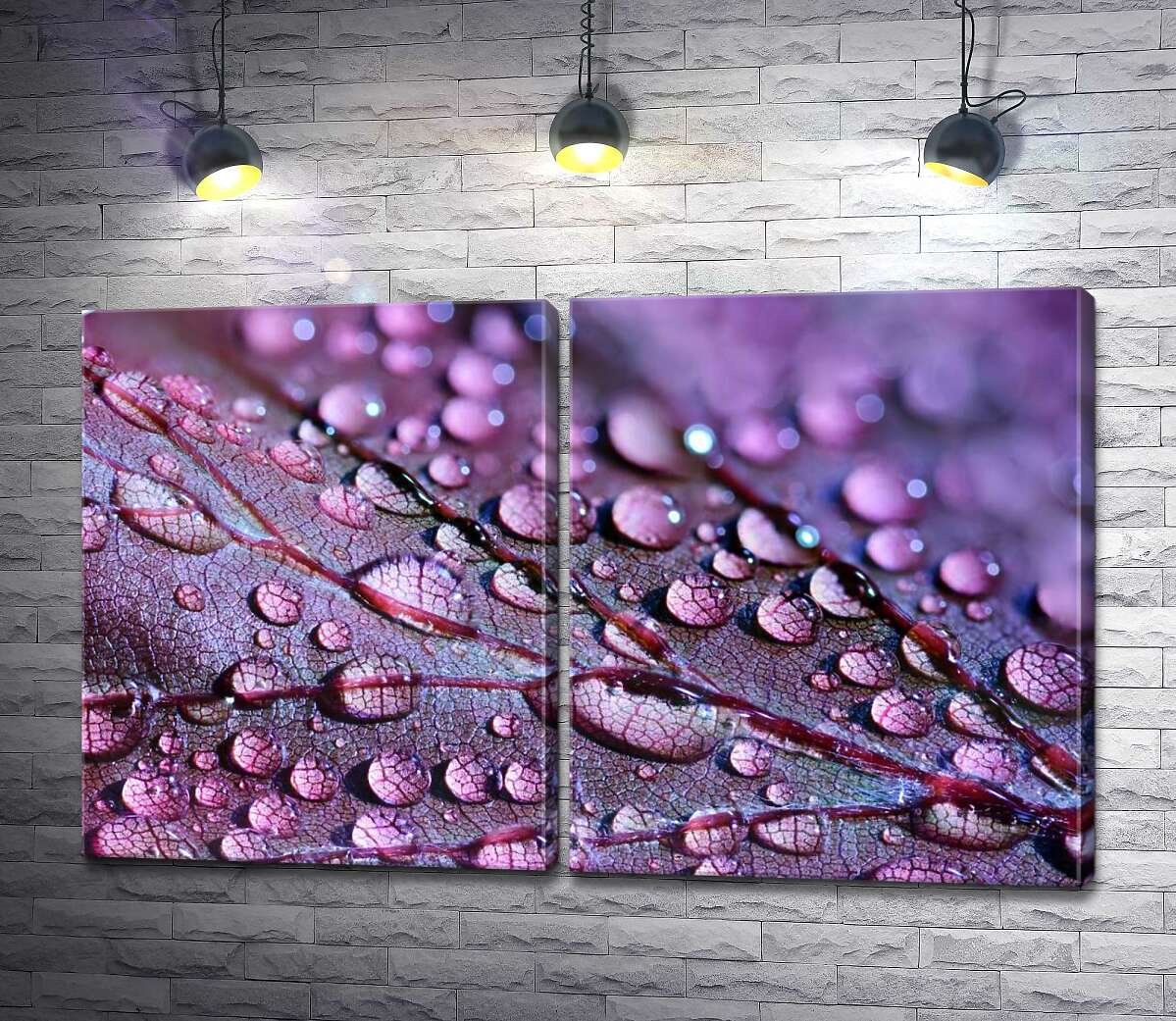 модульная картина Прозрачные капли росы жемчужинами покрыли поверхность фиолетового листа