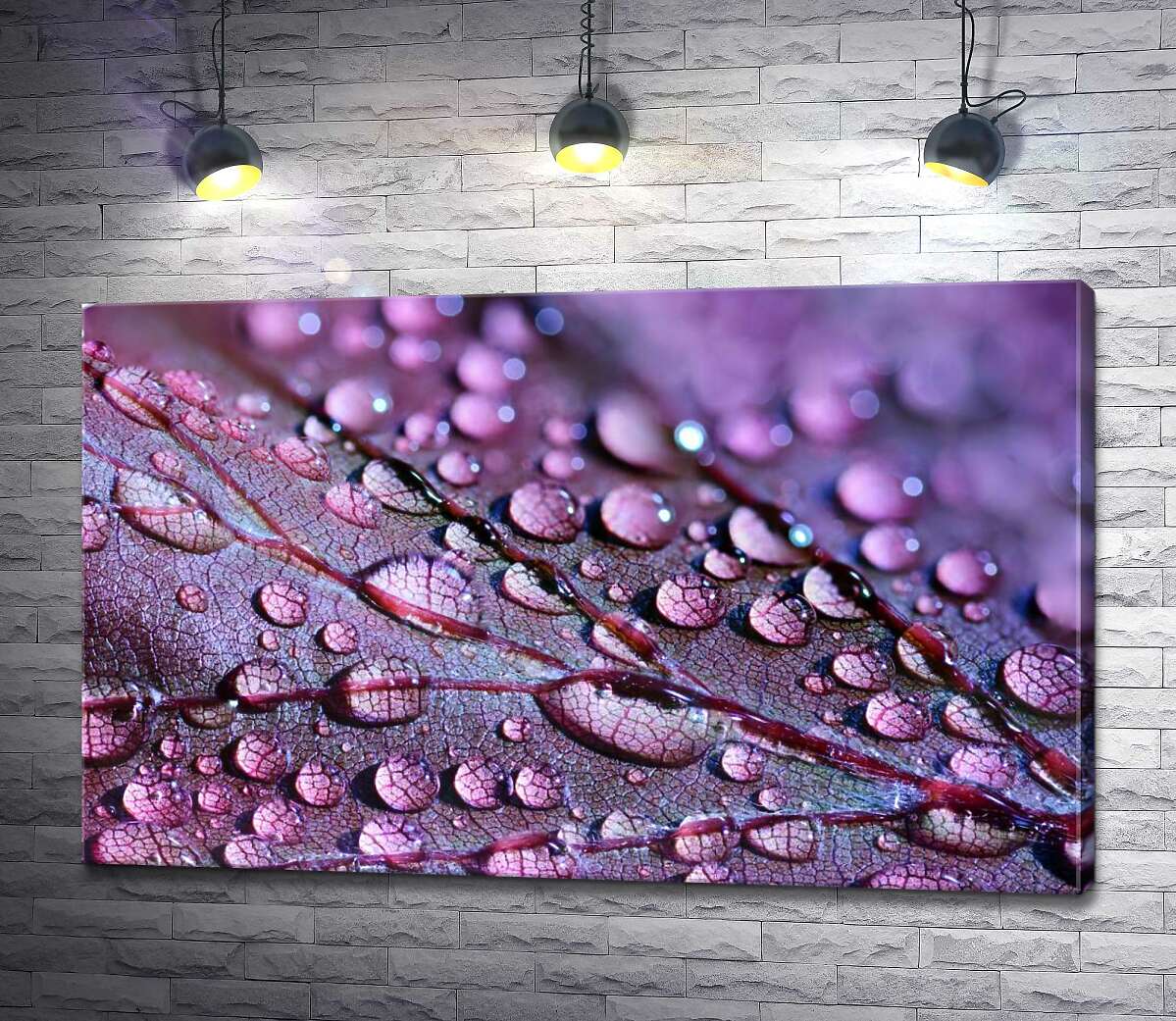 картина Прозрачные капли росы жемчужинами покрыли поверхность фиолетового листа