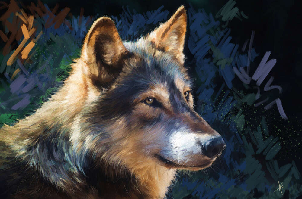 картина-постер Хищный взгляд волка