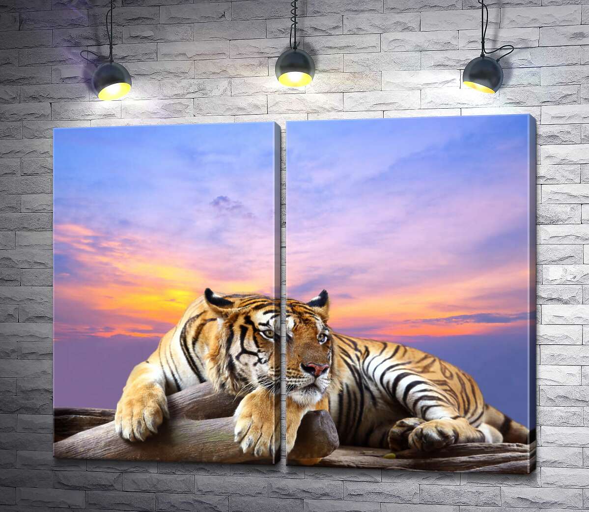 модульна картина Смугастий тигр мирно лежить на камені під переливами вечірнього неба