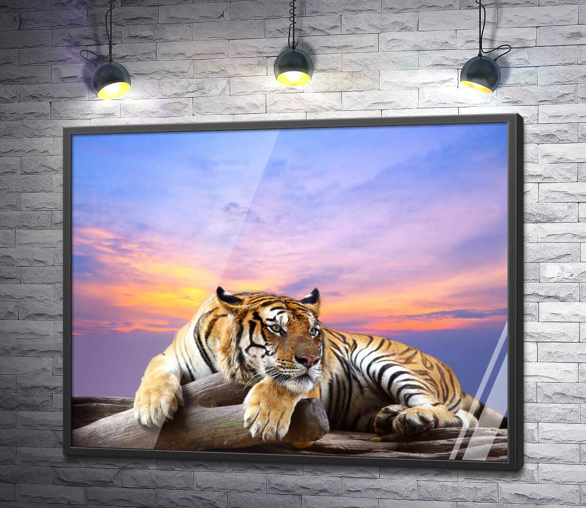 постер Смугастий тигр мирно лежить на камені під переливами вечірнього неба