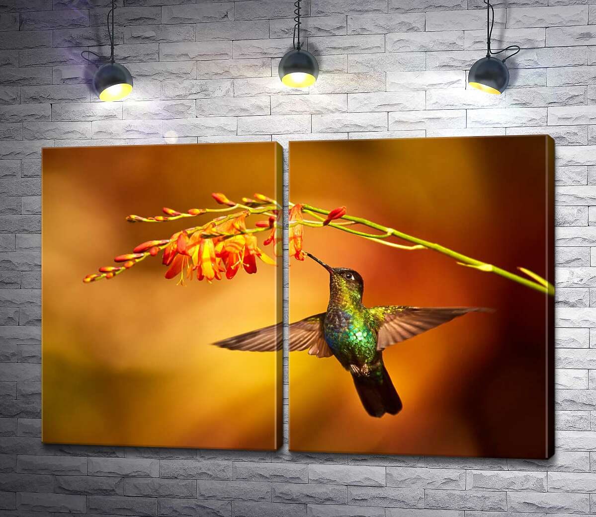 модульная картина Изумрудный колибри тянется клювом к оранжевому цветку за нектаром