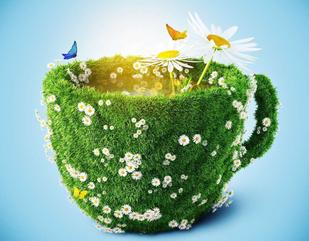 картина-постер Чашка из зелени травы и ромашек