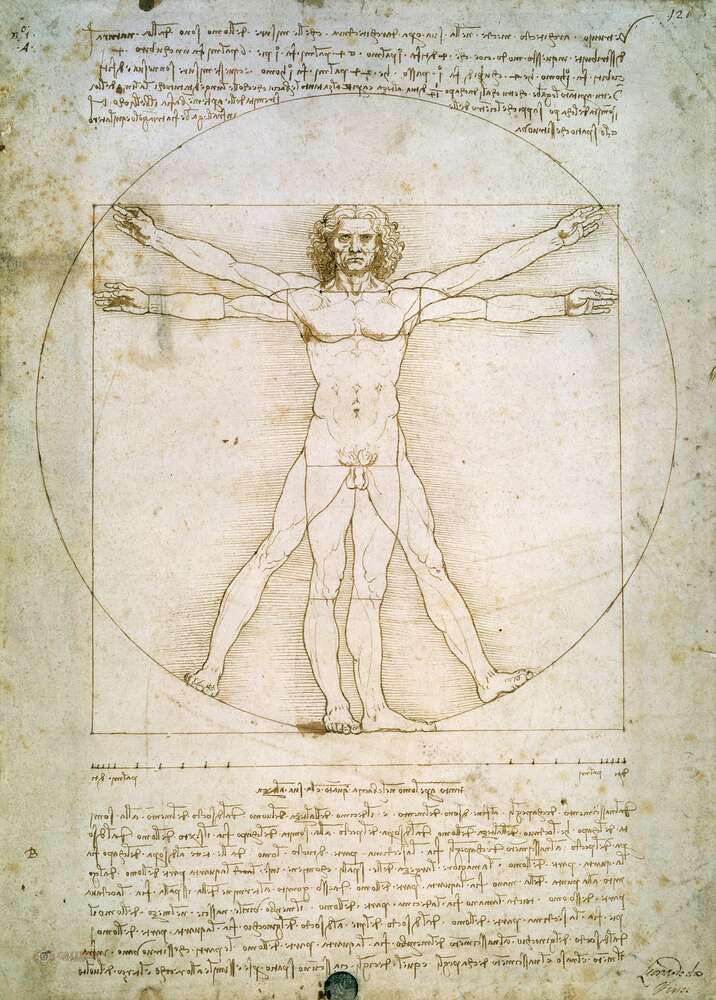 картина-постер Витрувианский человек (Homo vitruvianus) – Леонардо да Винчи (Leonardo da Vinci)