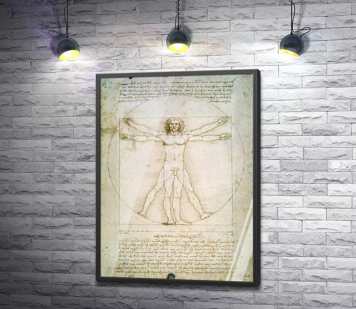 постер Витрувианский человек (Homo vitruvianus) – Леонардо да Винчи (Leonardo da Vinci)