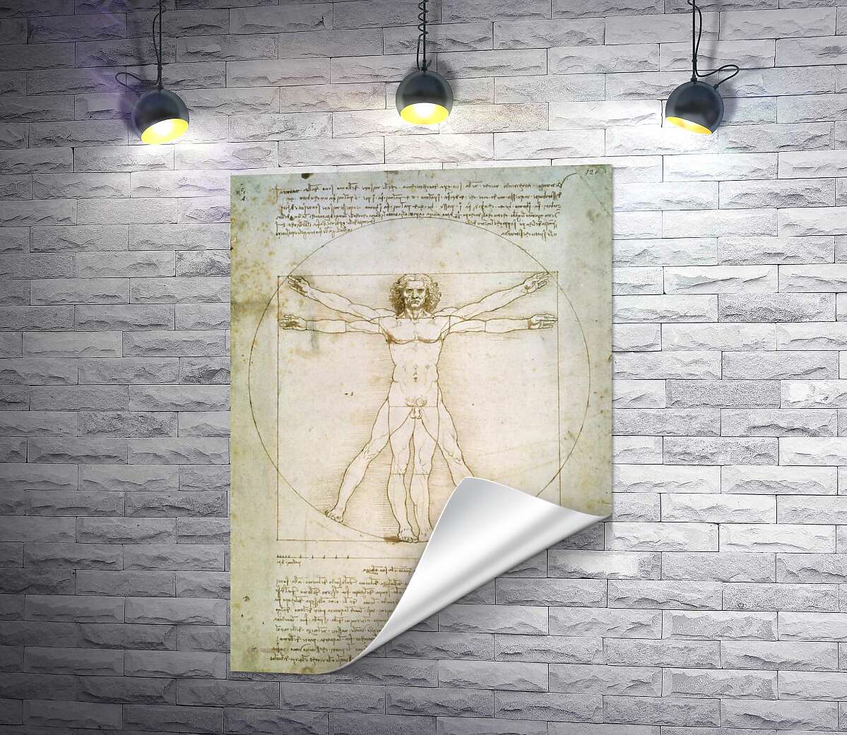 печать Витрувианский человек (Homo vitruvianus) – Леонардо да Винчи (Leonardo da Vinci)
