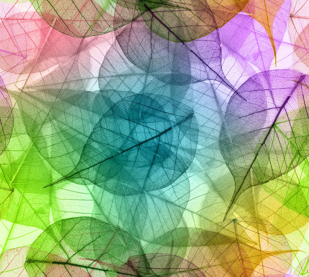 картина-постер Цветная витинанка из прозрачных листочков