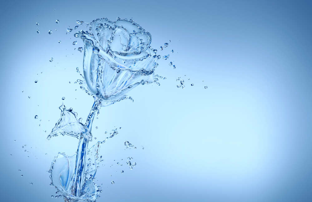 картина-постер Небесные оттенки розы из прозрачных потоков воды