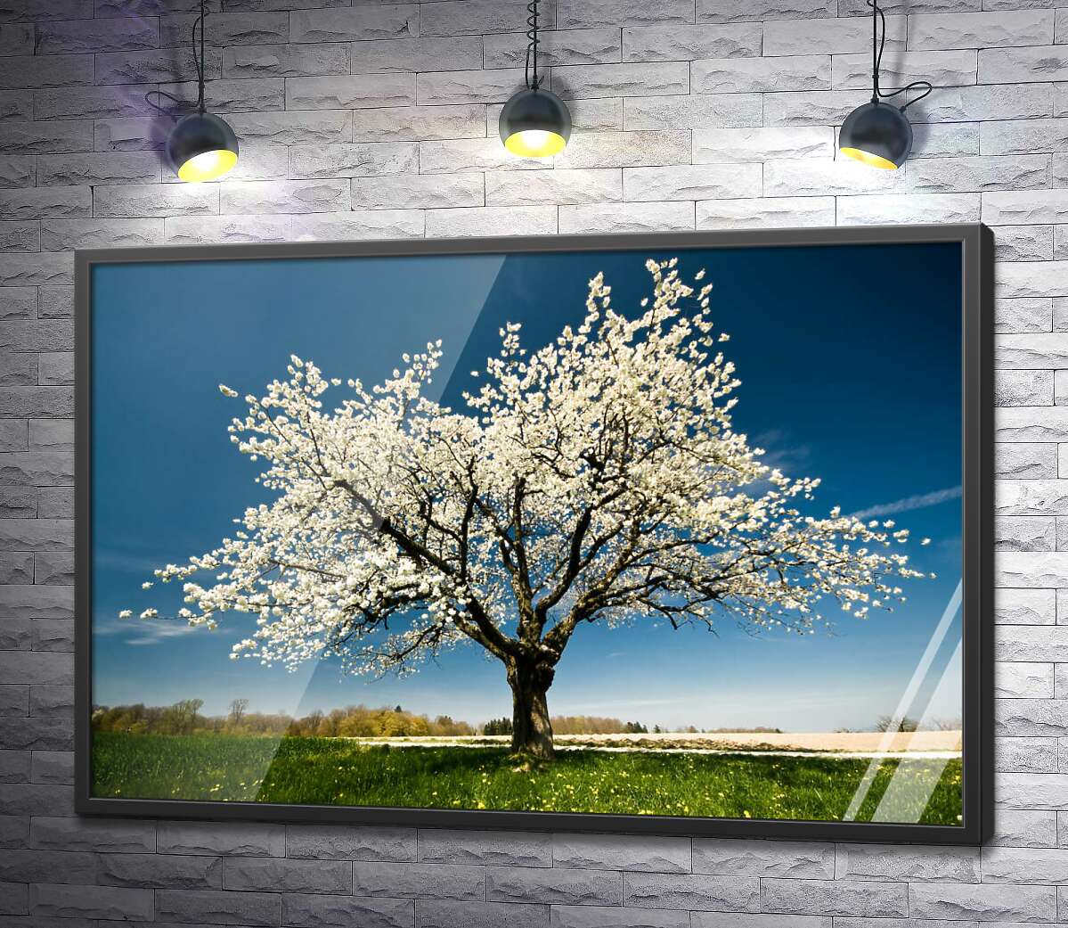 постер Ажурний цвіт весняного дерева