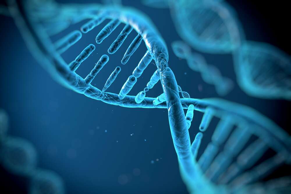 картина-постер Набор генов ДНК в хромосомах